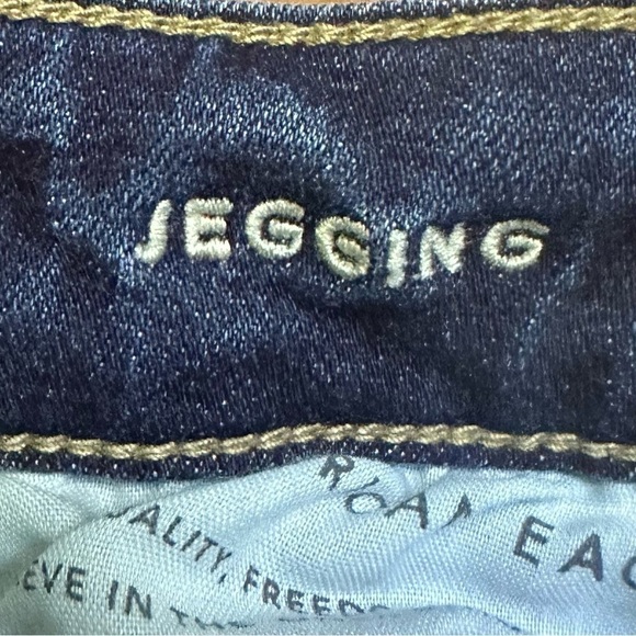 American Eagle Distressed Jegging - Picture 9 of 10